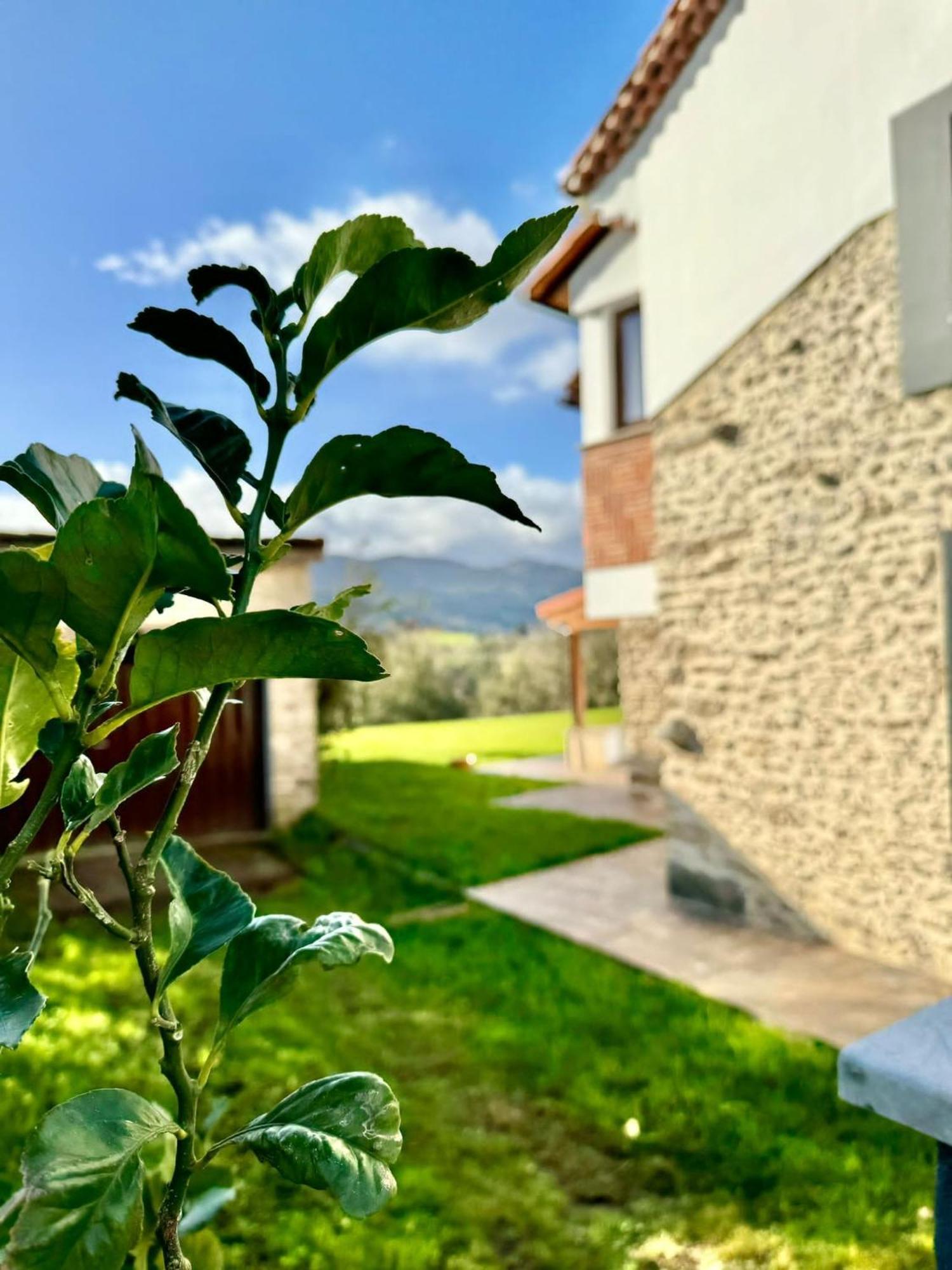 Terradeva Apartamentos Colombres Kültér fotó